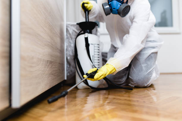 Best Rat Extermination Near Me  in Secaucus, NJ