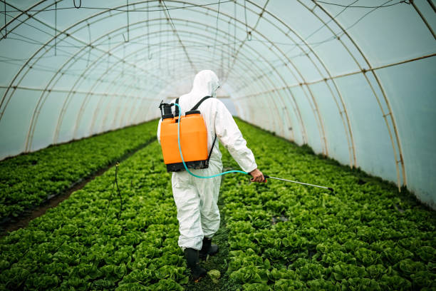 Best Local Pest Control Services  in Secaucus, NJ
