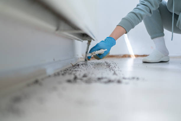 Best Best Pest Control Companies  in Secaucus, NJ