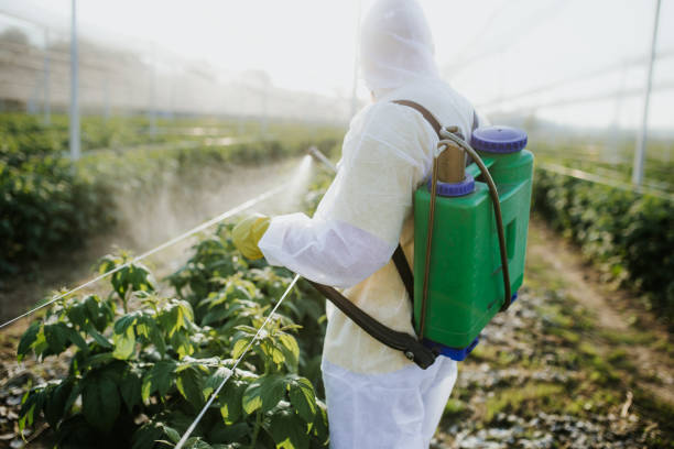 Best Mosquito Control Services  in Secaucus, NJ